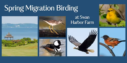 Spring Migration Birding & Biodiversity Hike