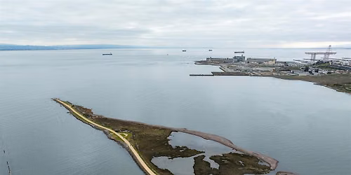 Clean It, Build It, Restore It: Three Approaches to Coastal Recovery