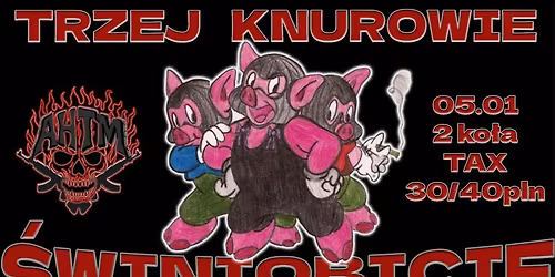 AHTM - \u015aWINIOBICIE - TRZEJ KNUROWIE