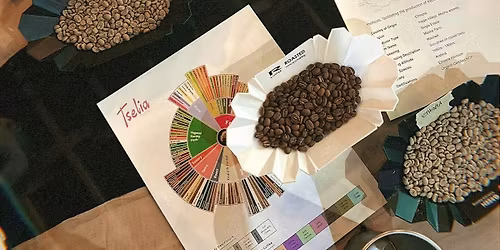 Coffee Cupping at Tselia Coffee
