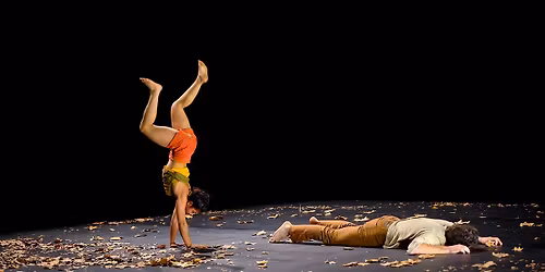 H\u00eatre et Phasmes \u2022 Fanny Soriano