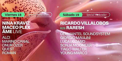 Parking Maceo Plex