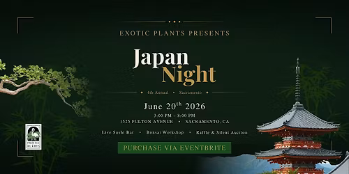 Japan Night