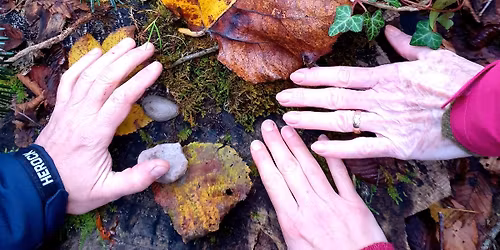 Parcours bien-\u00eatre Terre Happy automne