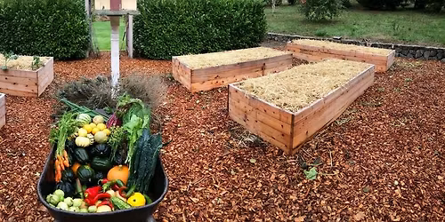 FREE: Garden Winterization and Garlic Planting Workshop