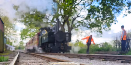 Buzzrail Beer Festival!