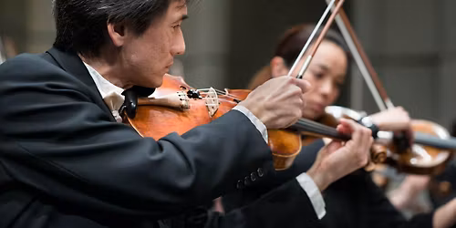 Midland Symphony Orchestra: Tchaikovsky Violin Concerto