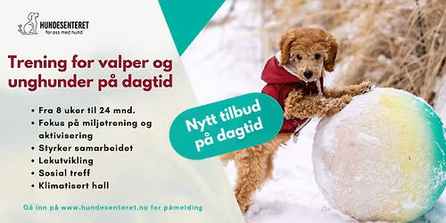 Trening for valper og unghunder p\u00e5 dagtid (ledige plasser)