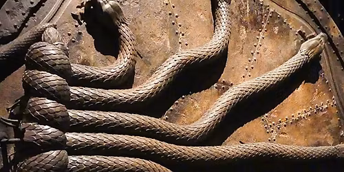 Vancouver Symphony Orchestra: Harry Potter and The Chamber of Secrets in Concert