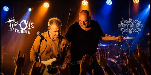 Dicey Rileys Hotel | THE OILS TRIBUTE