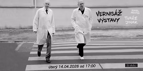 Karel Meister \/ Tv\u00e1\u0159e jinak \/ vernis\u00e1\u017e v\u00fdstavy