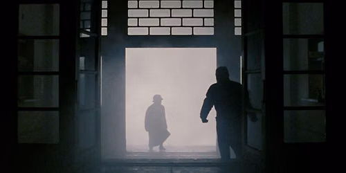 Leap of Faith. IV. Afterlife in Images