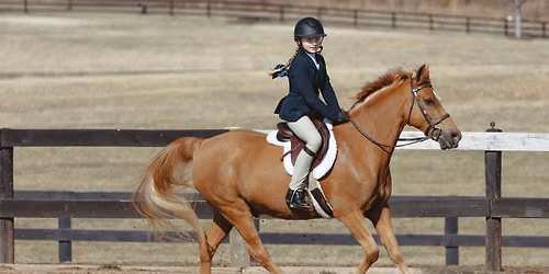 WCF VHSA Summer Hunter Show - August