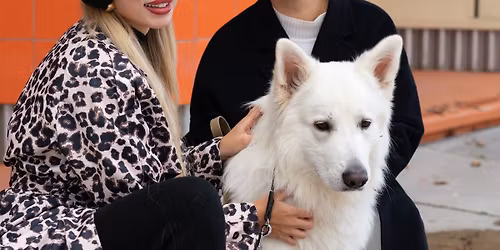 R\u012bga \u2013 Labdar\u012bbas tik\u0161an\u0101s dz\u012bvnieku patversmju atbalstam \ud83d\udc3e