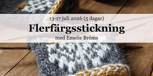 Flerf\u00e4rgsstickning - metod & teknik 2026 med Emelie Br\u00f6ms!