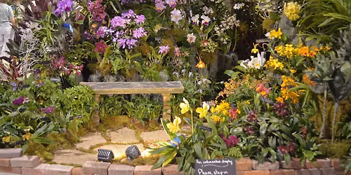 2026 Tamiami International Orchid Festival