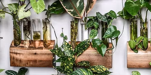 Propagation Workshop 101