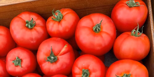 Harvest Fest at the Portsmouth Farmers' Market