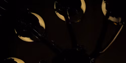 Loathe, trauma ray, Spy in Charlotte