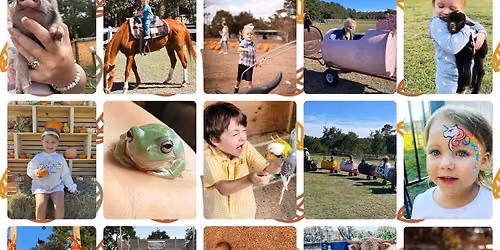 Pumpkin Patch at Triple J \ud83c\udf83\ud83e\udd9a\ud83d\udc10