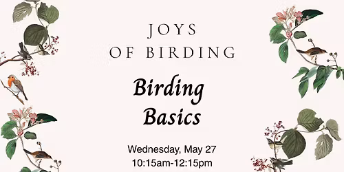Joys of Birding: Birding Basics
