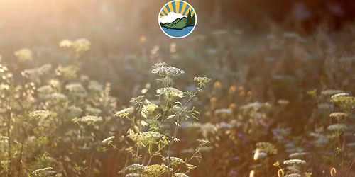 Wildflower Walk: Masters Park to Haw Creek Valley Overlook