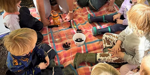 Childminder Networks - Derby: Corbar Woods, Buxton