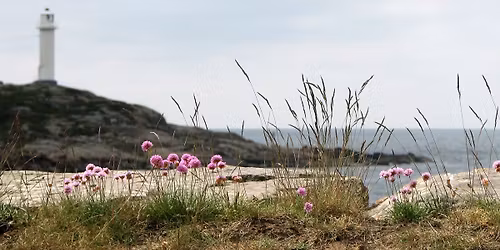 Tr\u00e4dg\u00e5rdsm\u00e4ssan. M\u00e5ngfaldstr\u00e4dg\u00e5rd