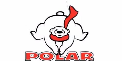 2026 Wheeling Polar Plunge
