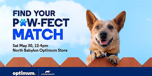 Find Your Paw-fect Match at our Pet Adoption Event