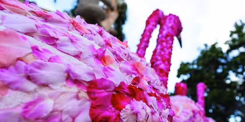 Tournament of Roses Parade