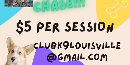 Club K9 Lure Chasing