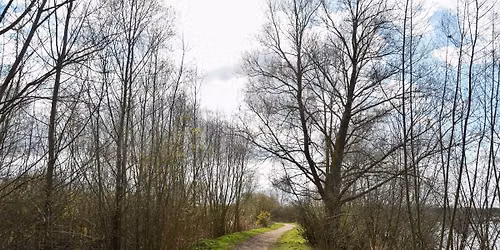 Weekend Wellbeing Walk