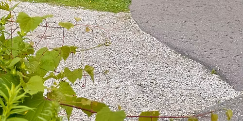 Storytime on the Trails | Mom and Me: A Fawn\u2019s Story