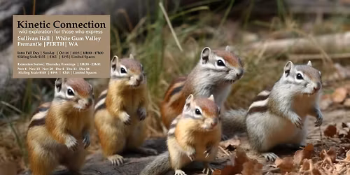 Kinetic Connection Extension | Thursday Eves Nov Dec 2025 [ Sullivan Hall | Perth | WA