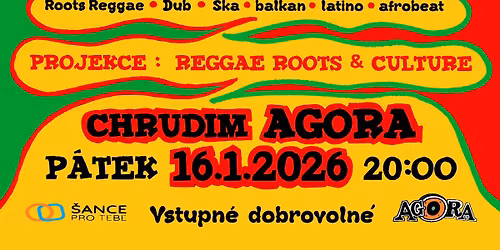 Reggae-Ska-Ethno Party