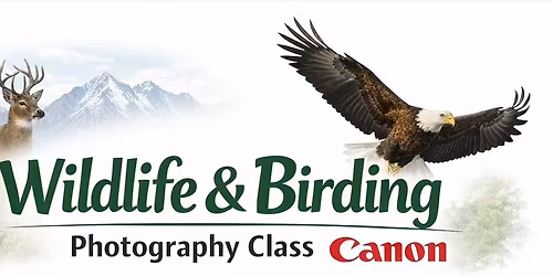 Free Wildlife\/Birding Photography Lecture with Canon