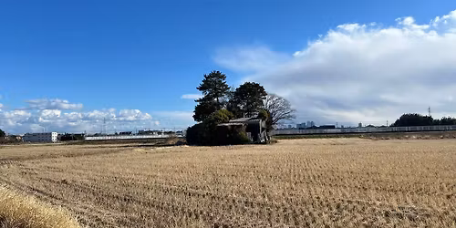 [\u4e03\u5b9d\u5de1\u691c] \u4e03\u5b9d\u3068\u3044\u3048\u3070?\u4e03\u5b9d\u713c!\u4e03\u5b9d\u307f\u305d!\u5cf6\u7551\u304b\u3089\u3061\u3073\u3063\u5b50\u5e83\u5834\u307e\u3067\u65e7\u4e03\u5b9d\u753a\u5de1\u308a