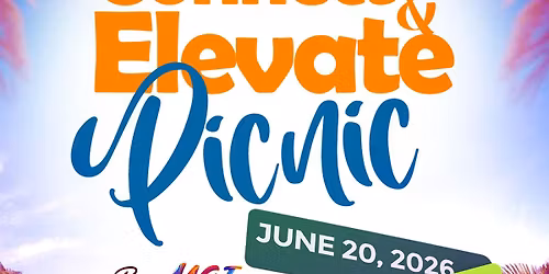 Connect & Elevate Picnic