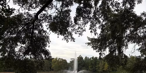 Lake Lily Park Cleanup