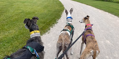 Third Annual Galgo Walk\/Get Together