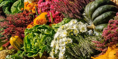 Blooms to Bounty
