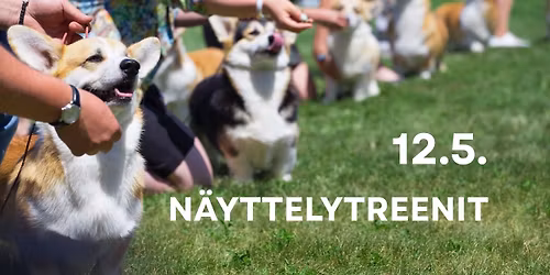 N\u00e4yttelytreenit 12.5.
