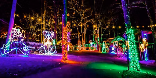 Fair Grounds - New Year's Day