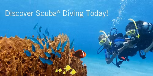 Discover Scuba Diving