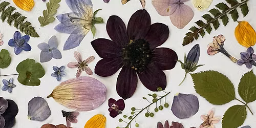 Pressed Flower Floral Art Workshop