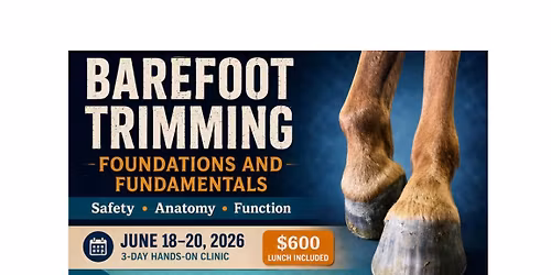 Barefoot Trimming Foundations & Fundamentals