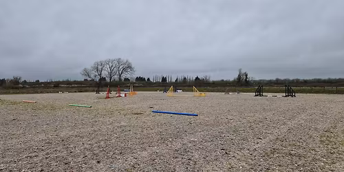 Fun Showing Show