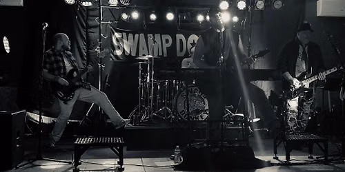 Swamp Donkey is Back at Birds!