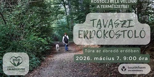 TAVASZI ERD\u0150K\u00d3STOL\u00d3 \u2013 T\u00fara az \u00e9bred\u0151 erd\u0151ben